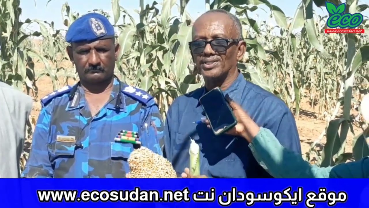 زراعة الوديان لأول مرة في شمال السودان @ecosudantv