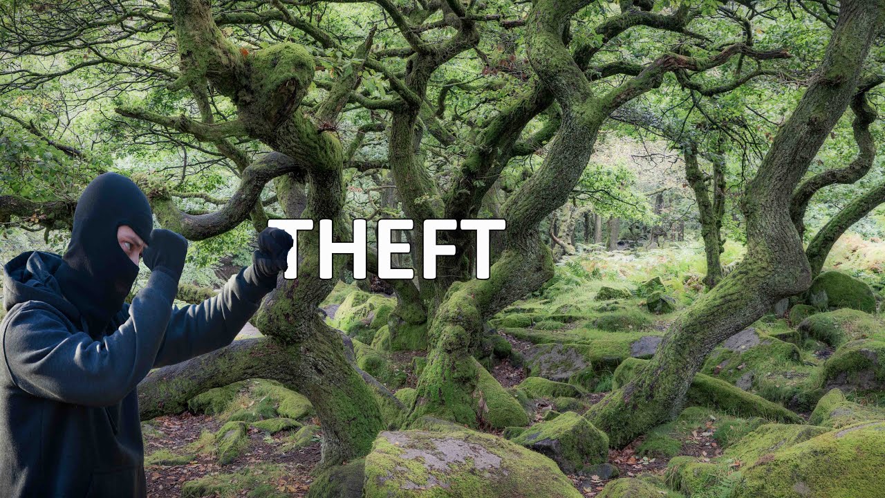 theft - Woodland Photography - Padley Gorge