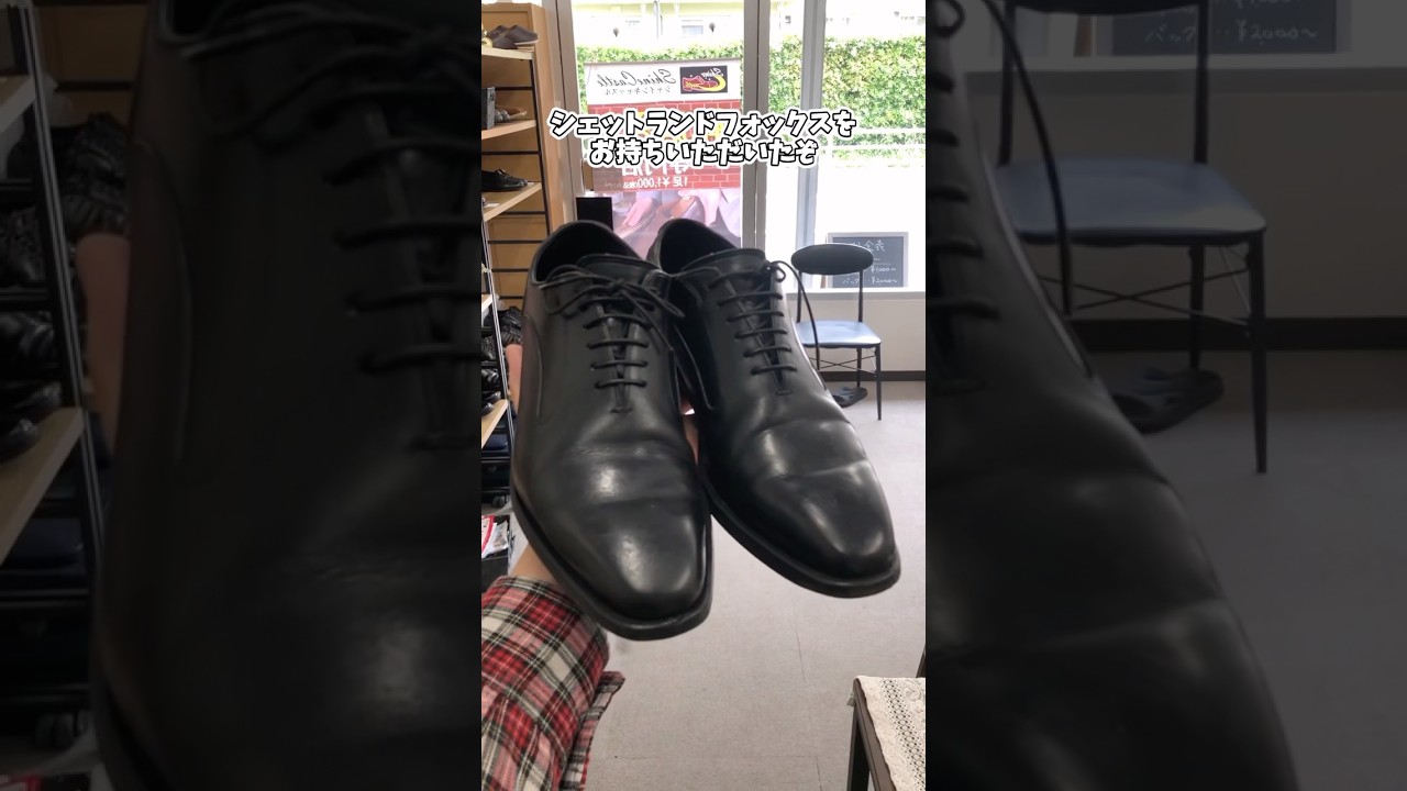 Shetland Fox #shoe shine