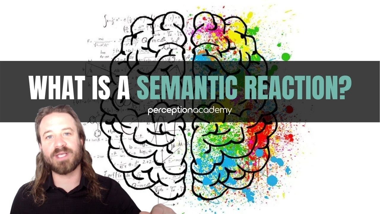What is a Semantic Reaction (and Examples of Semantic Reactions)