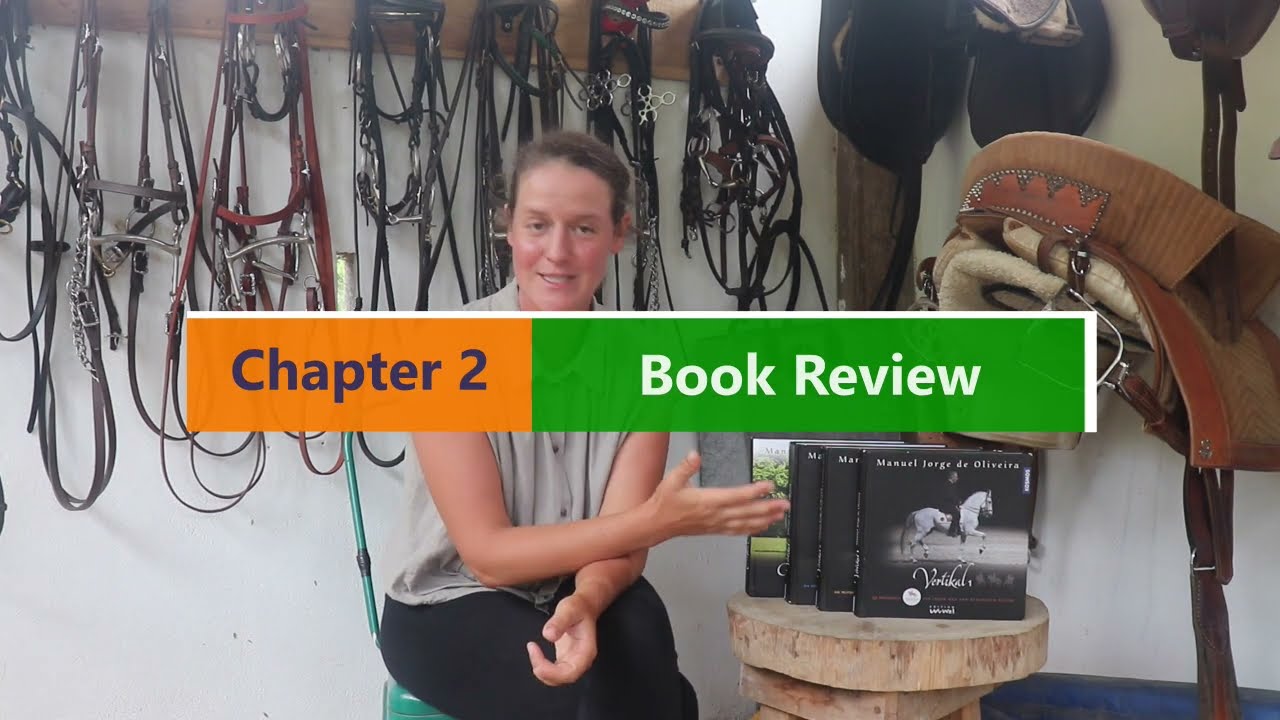 Review of 'Vertikal 1-3' Book Series by Manuel Jorge de Oliveira