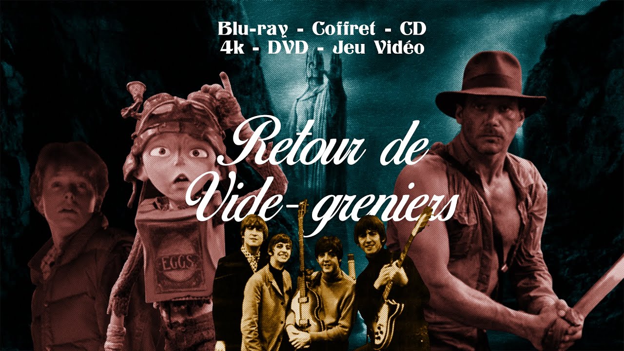 RETOUR de VIDE-GRENIERS : du BLU-RAY, des COFFRETS, du CD, des JEUX-VIDÉO du DVD et même un 4K !