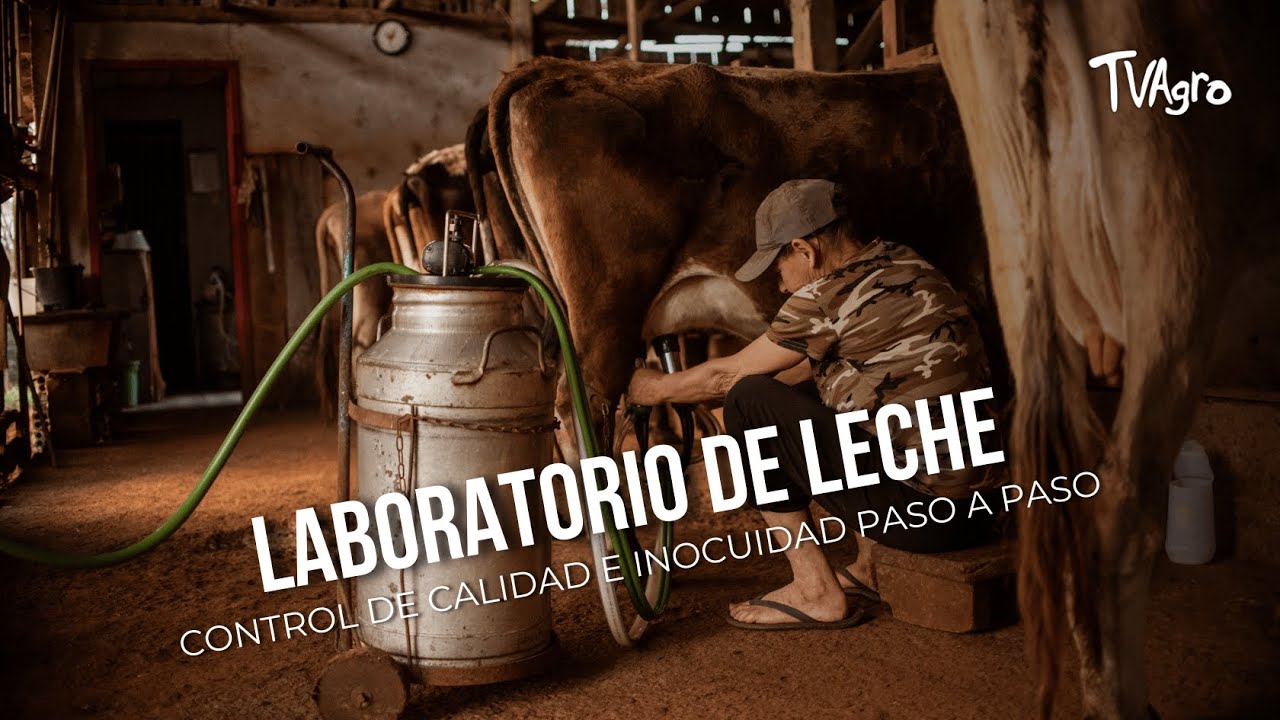 Laboratorio de leche: control de calidad e inocuidad paso a paso - TvAgro por Juan Gonzalo Angel
