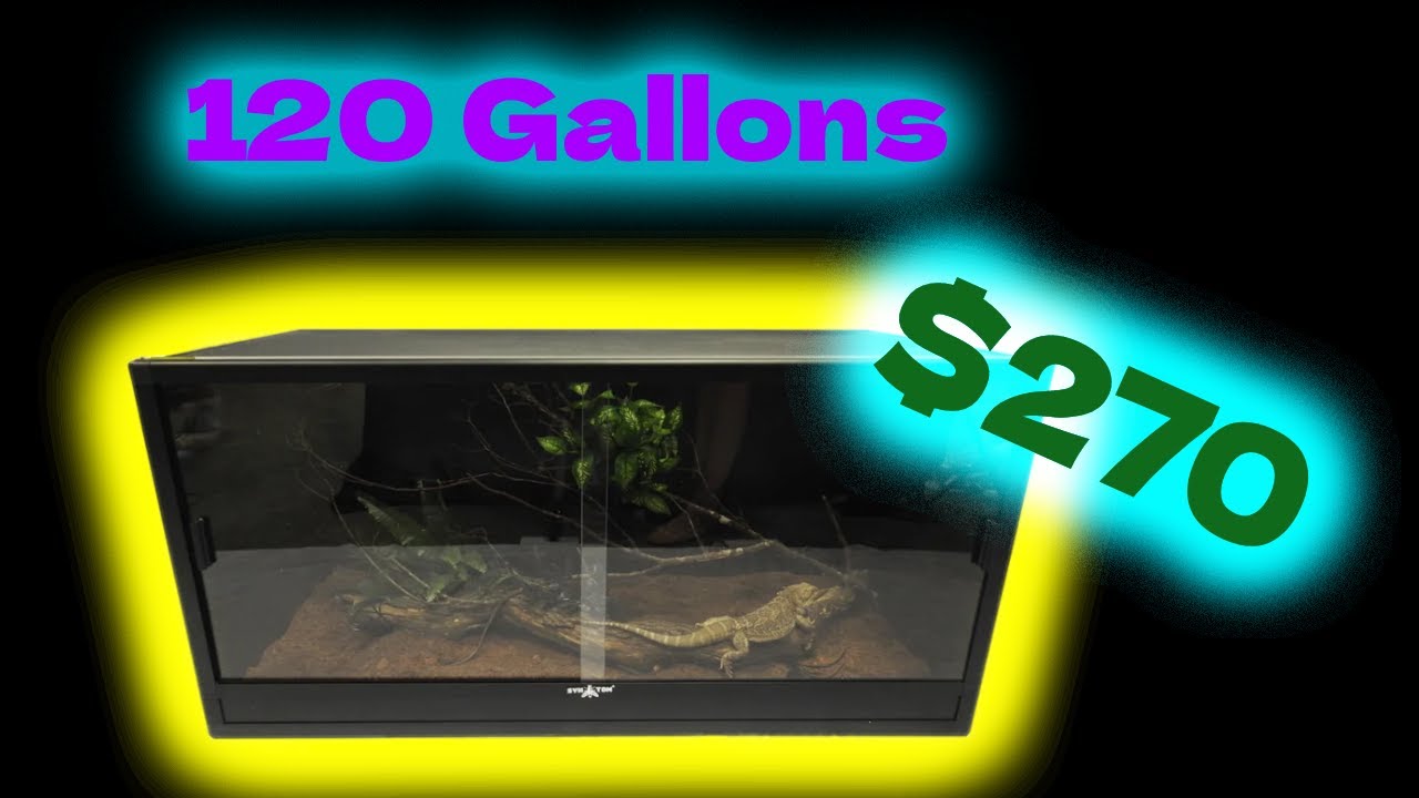 CHEAP 120 gallon ENCLOSURE BUILD + REVIEW!!!