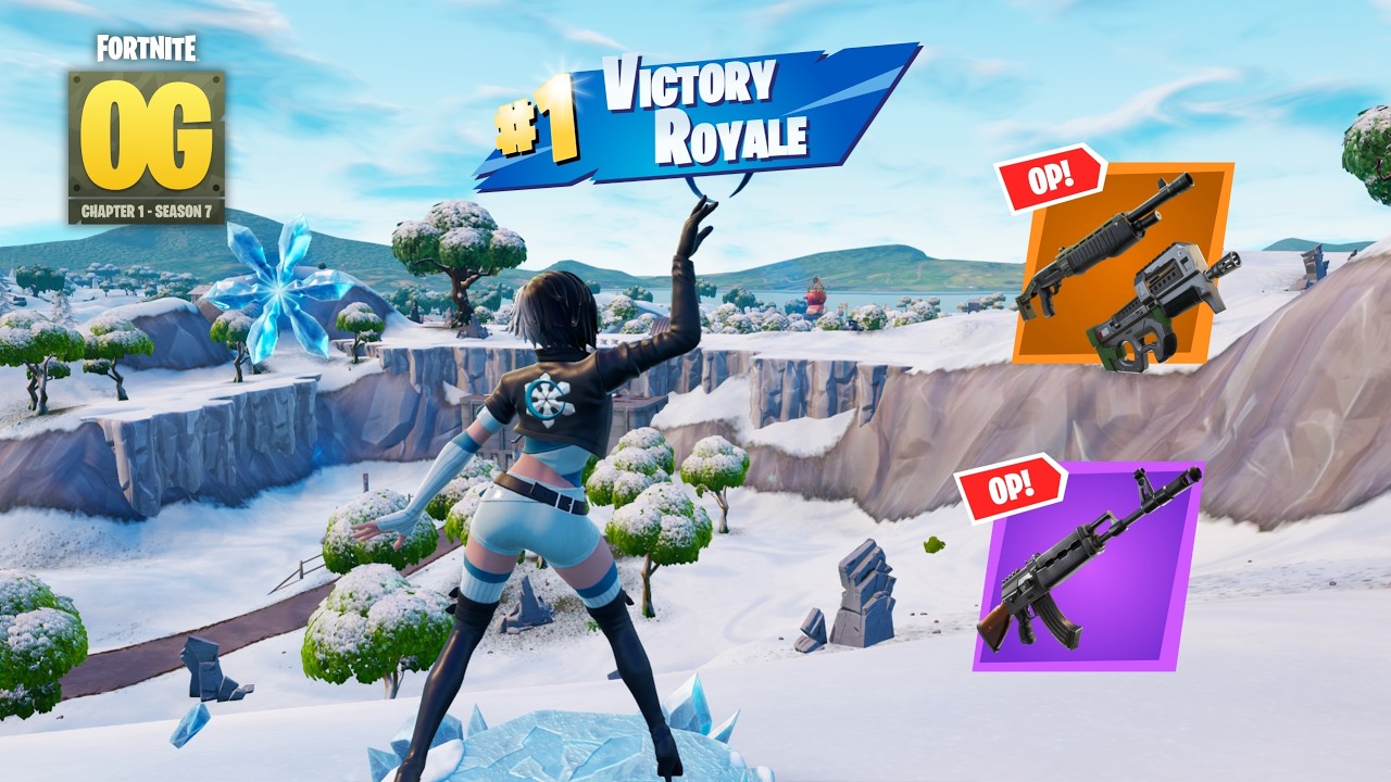 23 Kill Fortnite Solos 