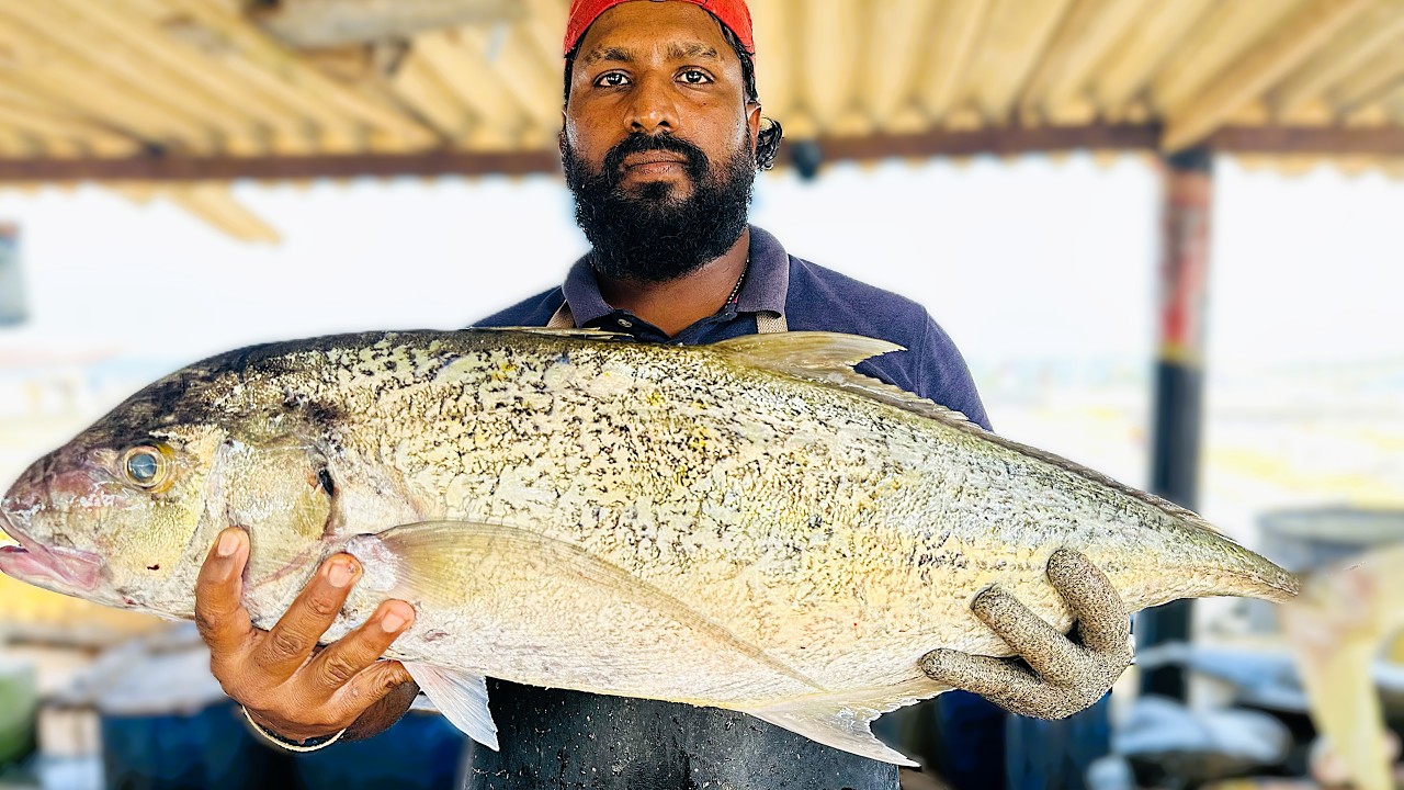 Huge Para Fish Cutting Skills 😲| Fast Cutting Skill