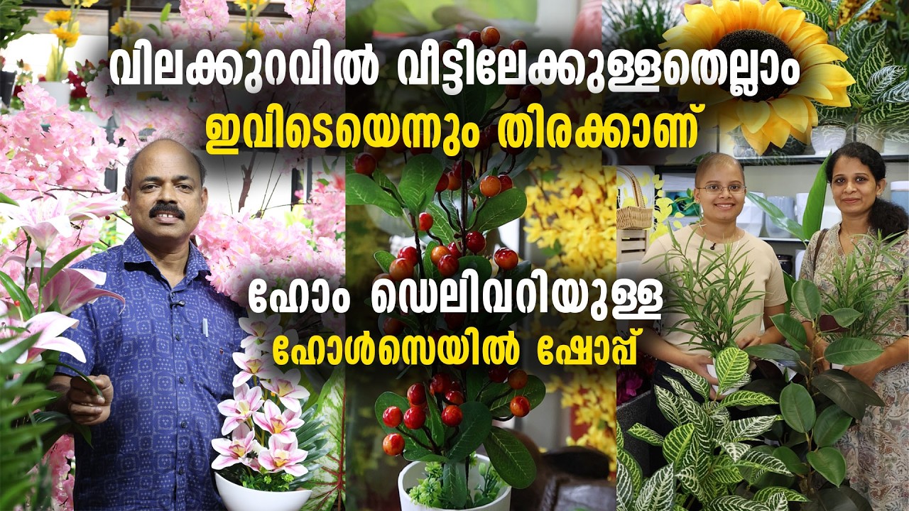 കുറഞ്ഞ ചിലവിൽ പൂന്തോട്ടം ഒരുക്കാം |  പുത്തൻ ട്രെന്റിനൊപ്പം  | ഹോം ഡെലിവറിയുള്ള  ഹോൾസെയിൽ ഷോപ്പ്
