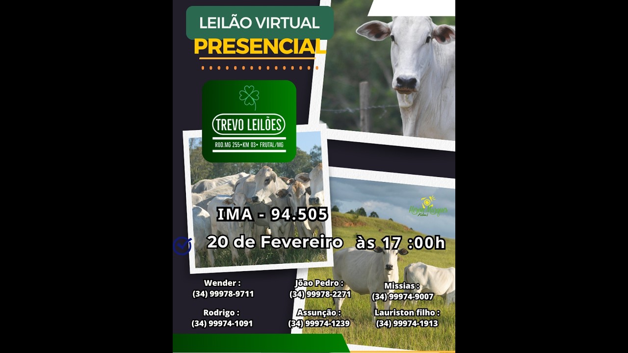 Leilão Presencial e Virtual  na Trevo Leilões, FRUTAL-MG - Dia 20/02/2026