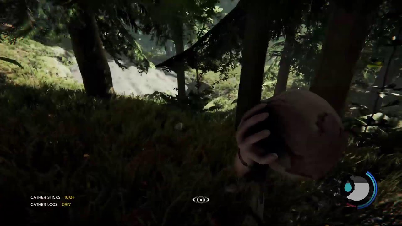 The Forest. Single player. New to game.