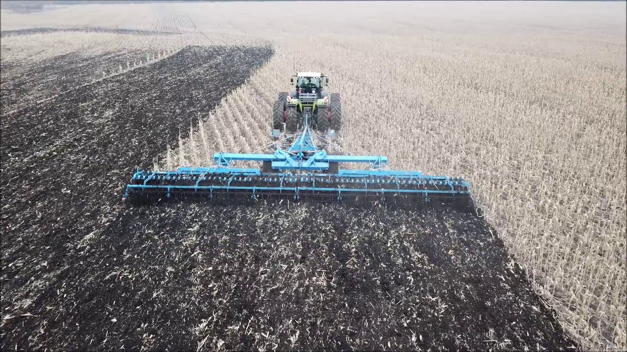 Трактор дискует кукурузу вместе с початками!