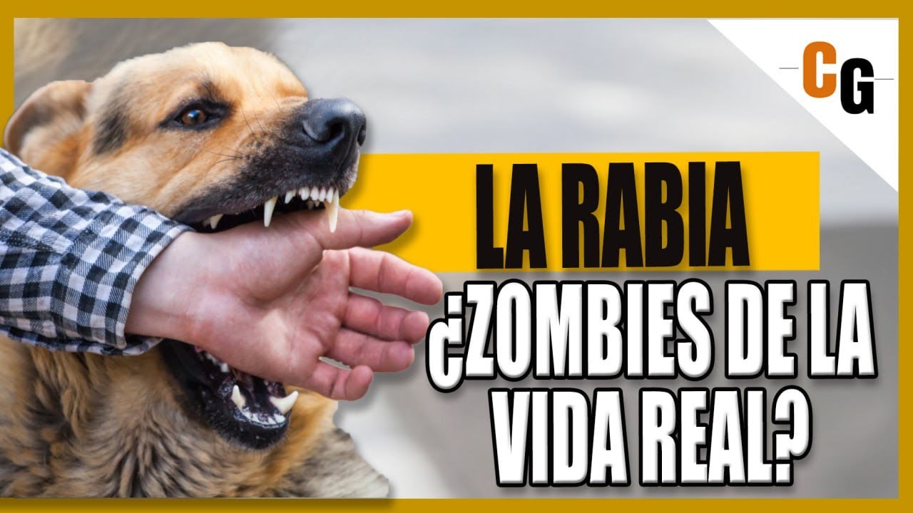 La Rabia - La Enfermedad Infecciosa MAS LETAL - Analisis y Explicación y relación con los Zombies