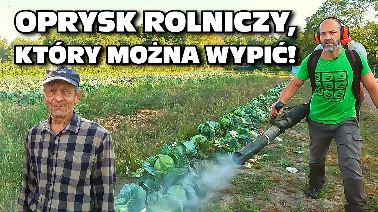 Oprysk rolniczy, który można wypić! Od pola do stołu, cz. 2 (Poddębice, woj. Łódzkie)