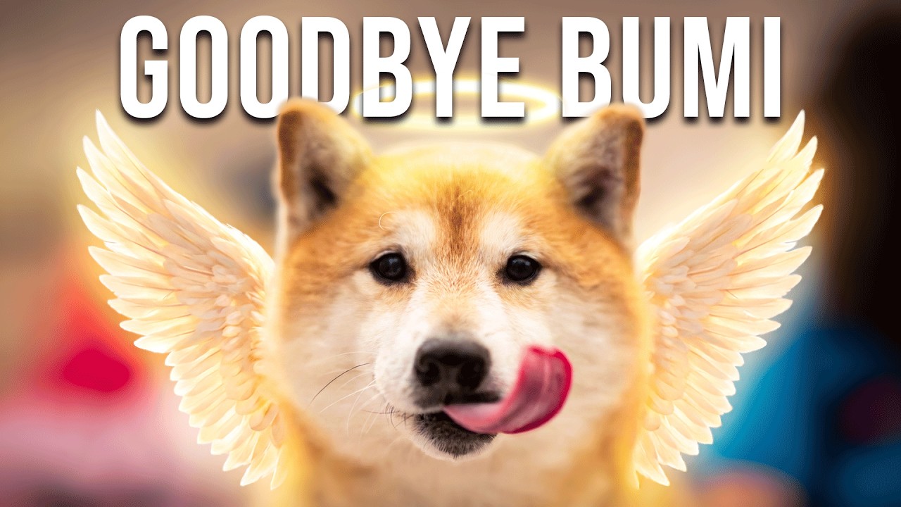 Goodbye Bumi (2010-2026)