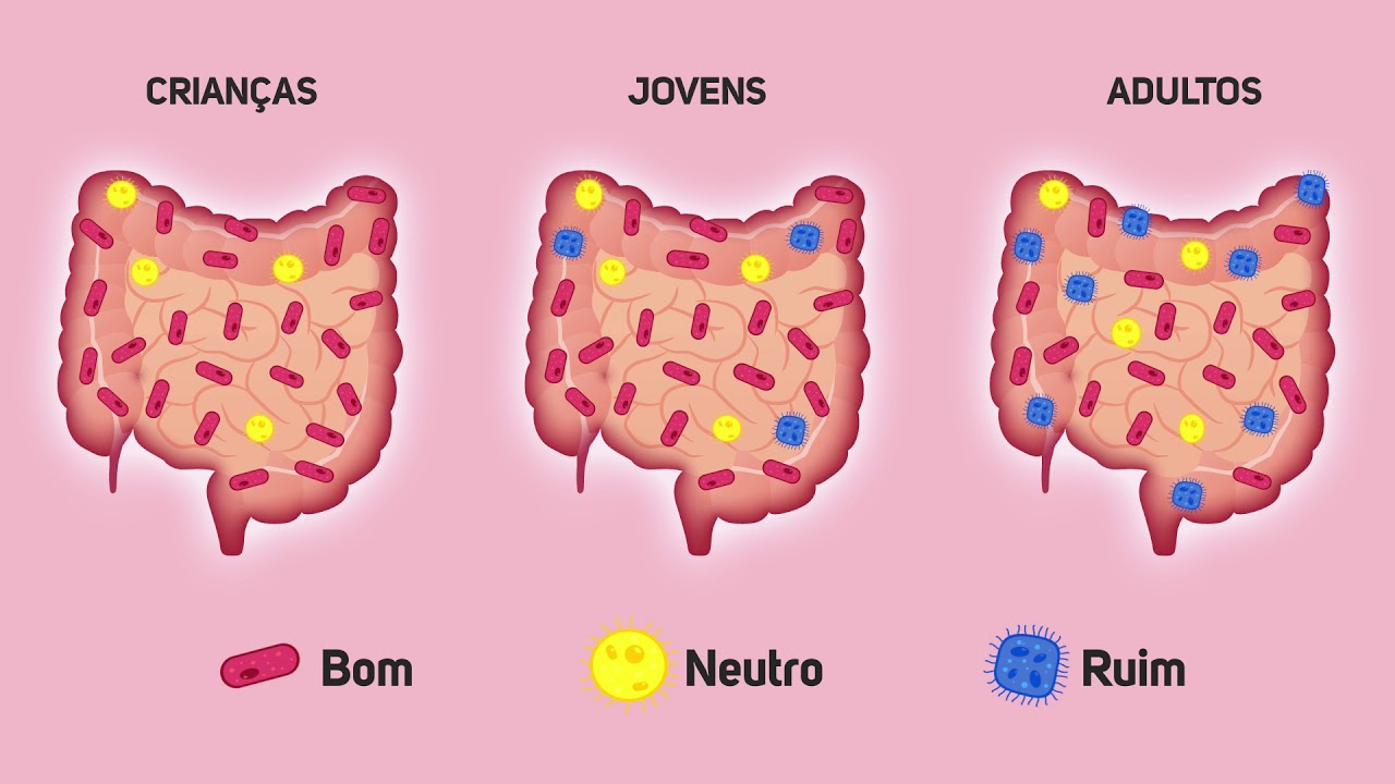 Adolescentes e jovens devem consumir lactobacilos diariamente