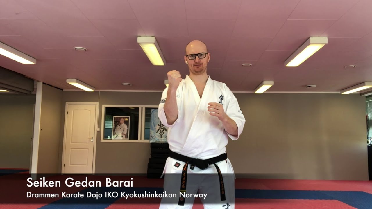 Seiken Gedan Barai
