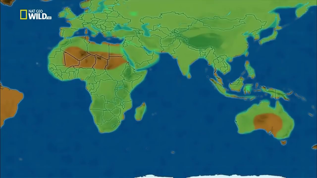 Nejnebezpečnější zvířata světa - Amazonie