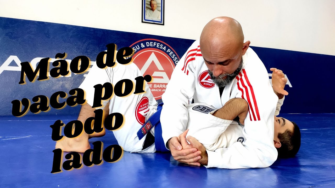 4 FINALIZAÇÕES DE MÃO DE VACA