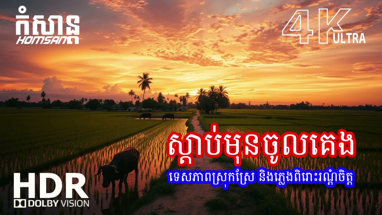 🌠 តន្ត្រីរាត្រីសម្រាប់សម្រាក – បន្ធូរអារម្មណ៍ និងគេងសុខពេញយប់