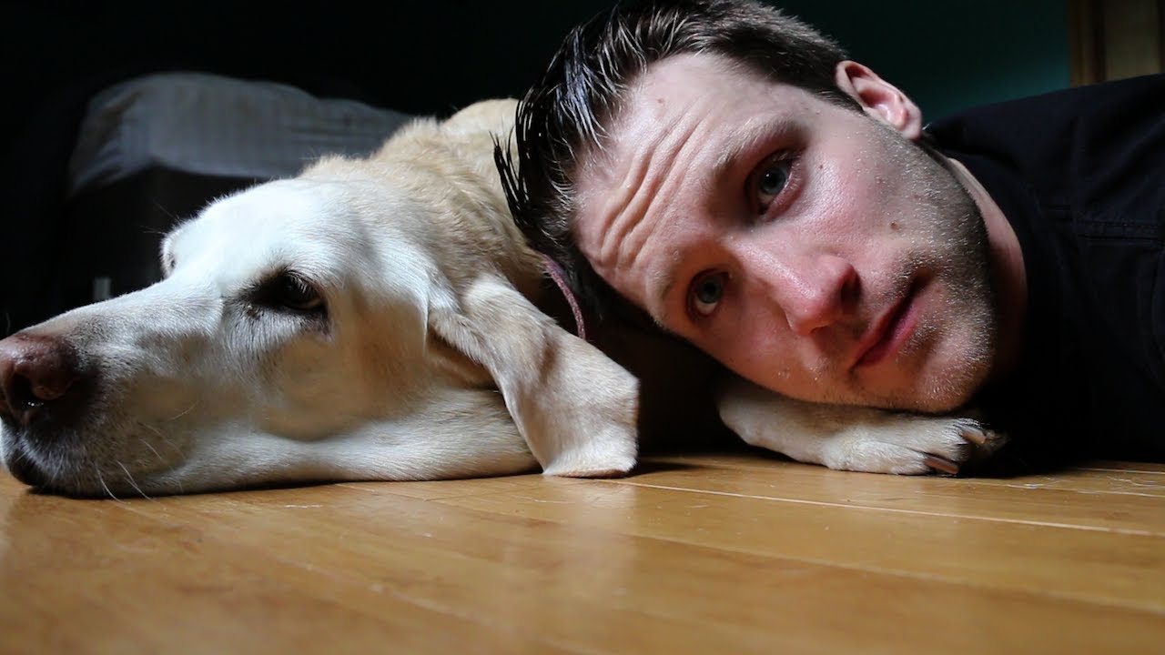 my dog has 2-4 weeks to live...