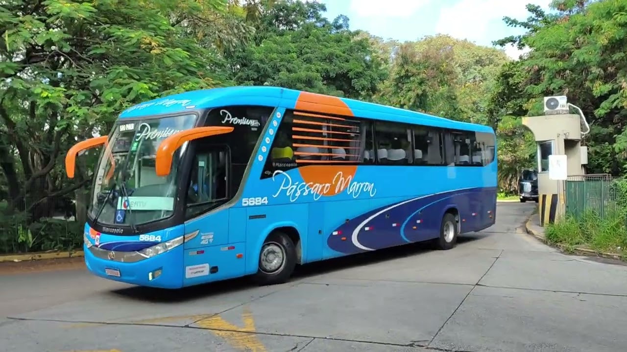 Rodoviária do Tietê SP 335