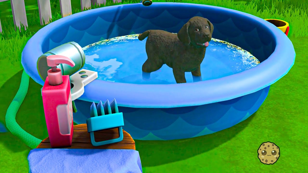 Lost Dog On Puppy Island