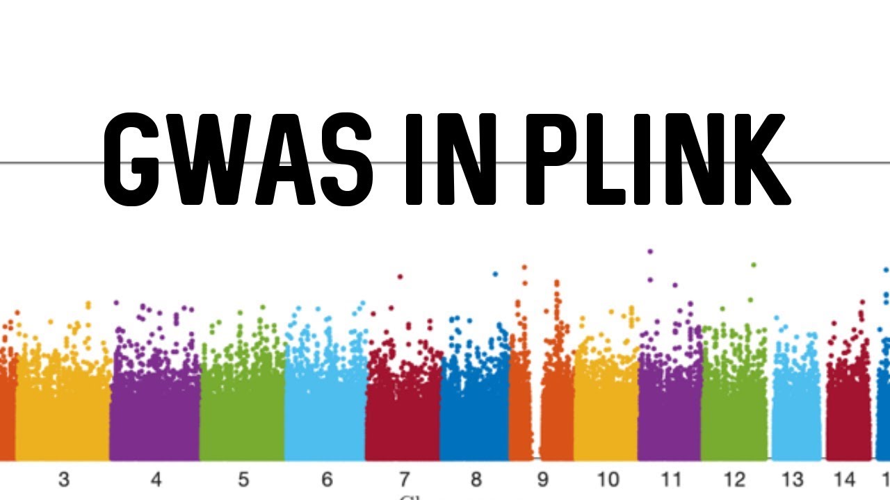 GWAS в Плинке