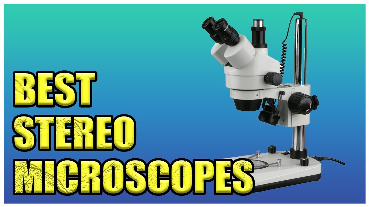 New 7X-45X Dual Lit 6W LED Trinocular Stereo Zoom Microscope | Best Stereo Microscopes