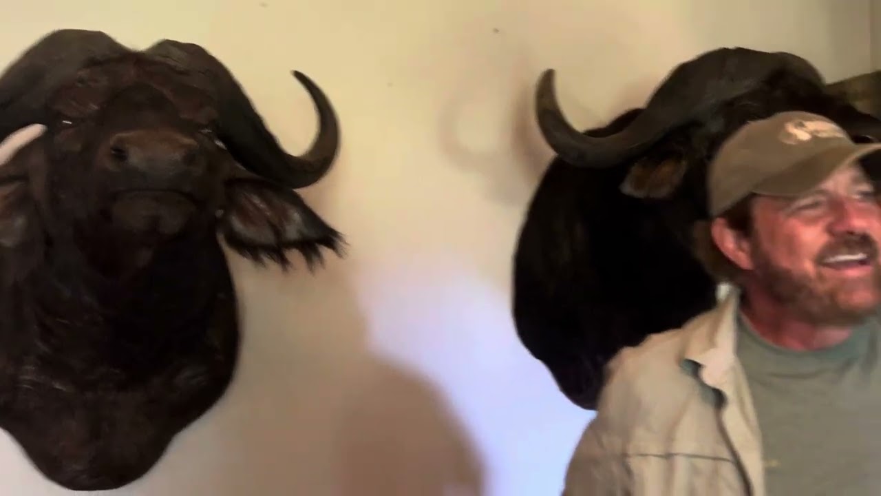 416 Remington and 500 Jeffery story about a thrilling buffalo hunt