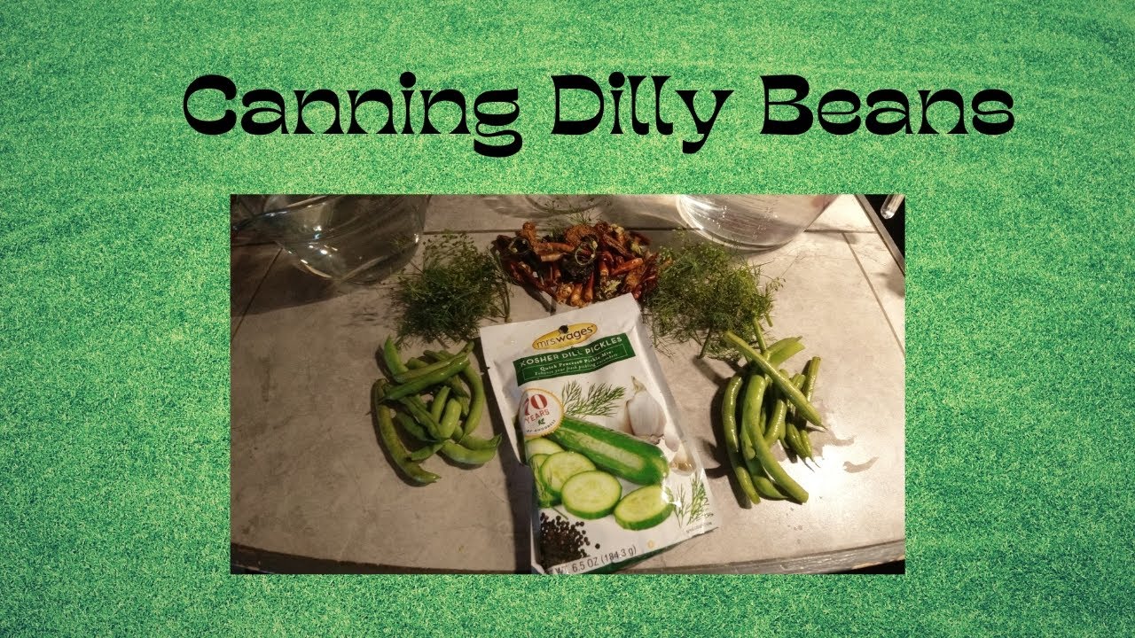 How to Can Dilly Beans