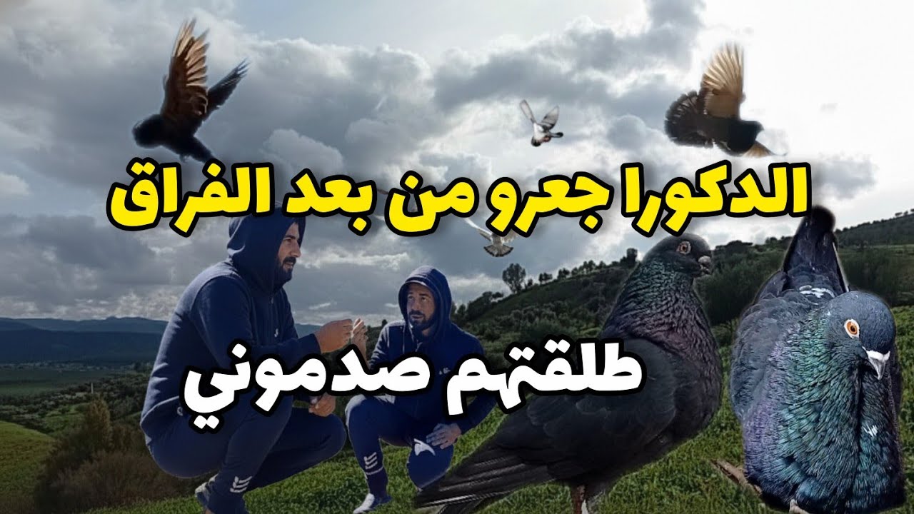 اليوم طلقت وحوش السيفيانوس منبعد أسبوع ديال الفراق مع النتاوي صدموني بالطيران والمناورات الخرافية 