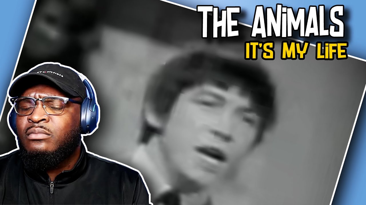 How It All Started? | The Animals - It's My Life | REACTION/REVIEW