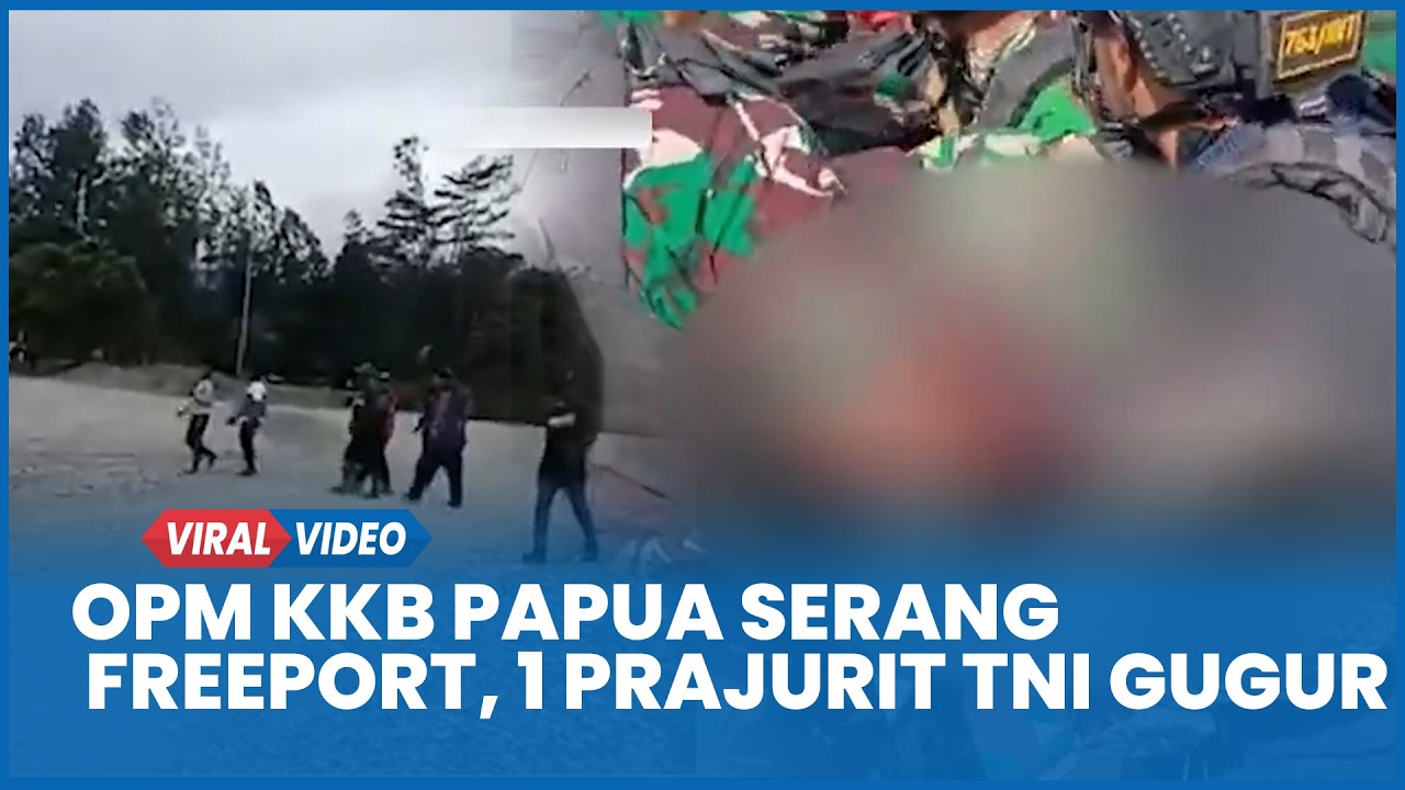 Detik-detik OPM KKB Papua Serang Rombongan Kendaraan PT Freeport di Mimika, 1 Prajurit TNI Gugur