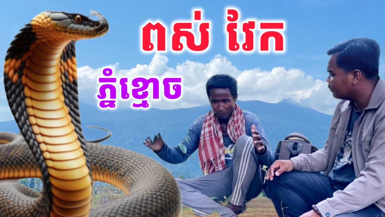 ពស់វែក​ ភ្នំខ្មោច​ ធំណាស់ប៉ុណ្ណចុងដូង​ The snake on the mountain of ghosts is so big