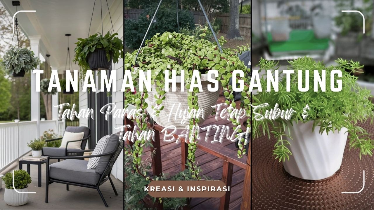 RAHASIA RUMAH SEJUK! IDE 12 TANAMAN HIAS GANTUNG TAHAN PANAS dan HUJAN Tetap Subur Tahan BANTING!