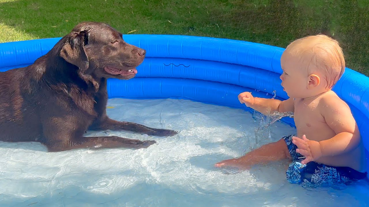 Baby Boy and His Dog Have Fun in the Swimming Pool