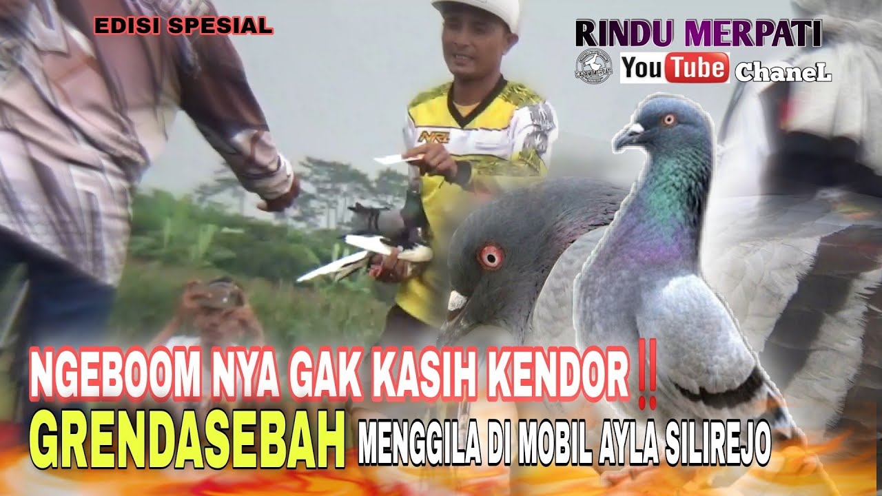 UWEDAN‼️GRENDASEBAH JADI TONTONAN TERHEBOH DI MOBIL AYLA GONDOSARI SILIREJO