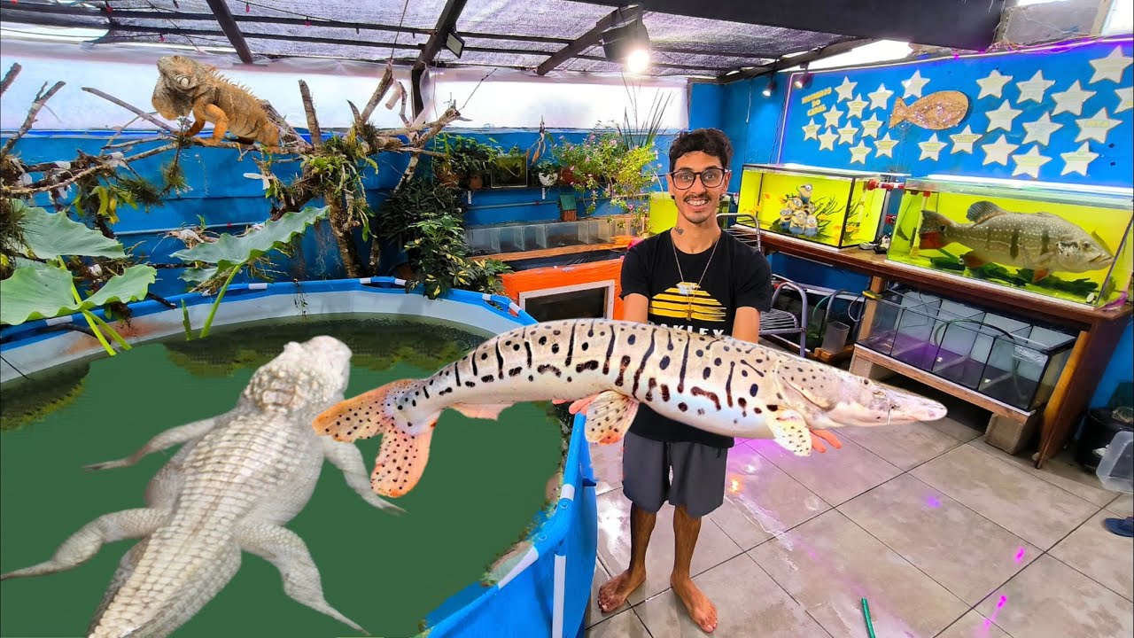 COLOQUEI MEU PEIXE PINTADO NA PISCINA DE MONSTROS CARNÍVOROS