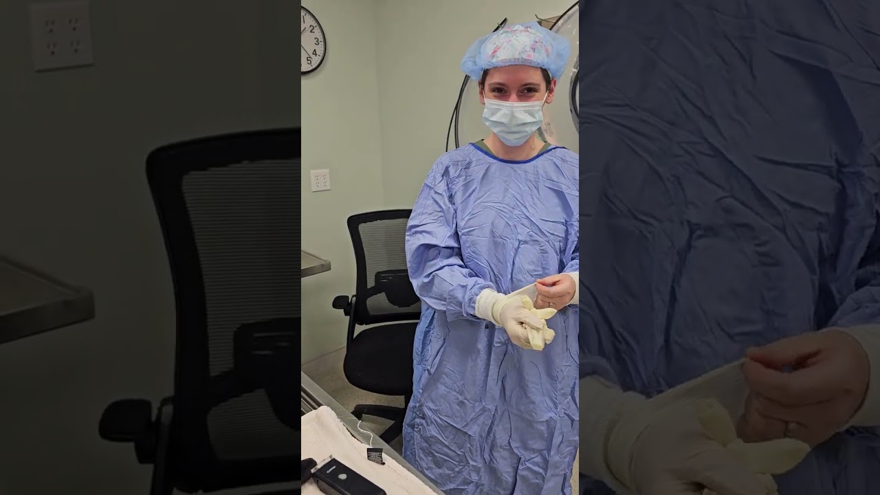 Penn Foster Externship 2- Skill 1 feline neuter prep