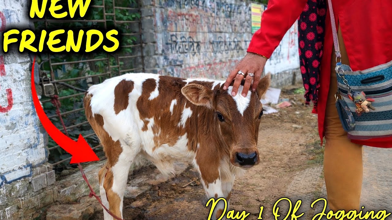 নতুন বন্ধু বানালাম প্রথম দিন হাঁটতে গিয়ে 