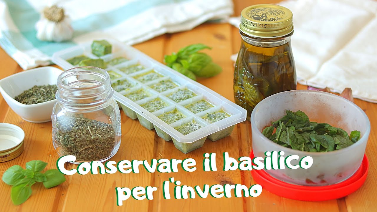 🌱COME CONSERVARE IL BASILICO FRESCO PER L'INVERNO 🌱 how to store basil for the winter