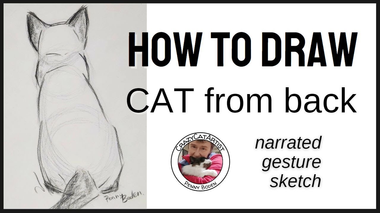 How to Draw a Siamese Cat from the back side, sitting down Oriental Shorthair, quick and easy view!
