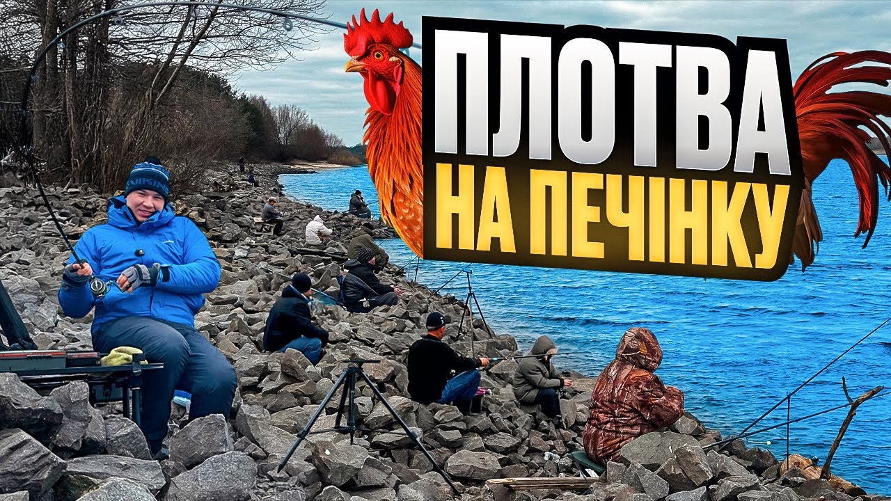 ЛОВИМО НА КУРЯЧУ ПЕЧІНКУ‼️БЕРЕГ ЗАБИТИЙ РИБАКАМИ 🎣