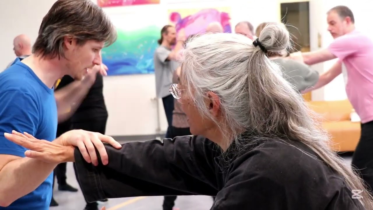 Workshop Eli Montaigue Taiji Old Yangstyle