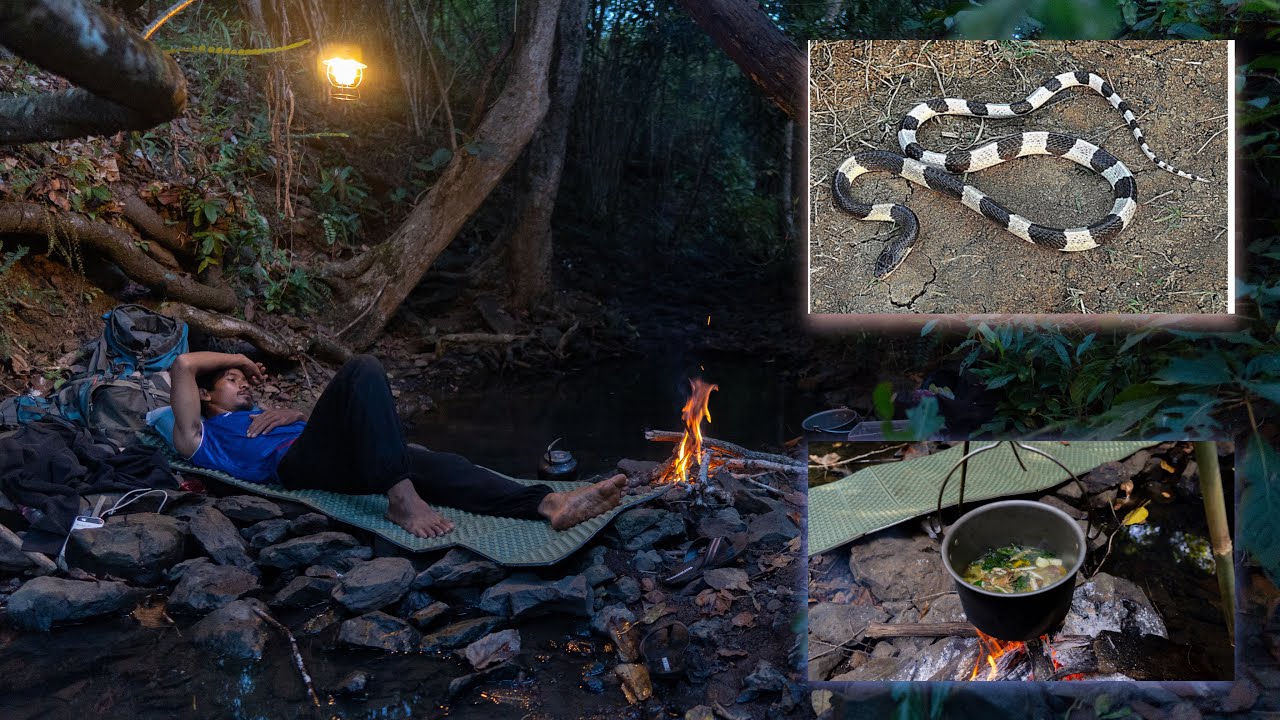 Adventure an cooking sleeping solo ចូលព្រៃរកត្រីគេងមាត់ទឹកត្រូវពស់ក្រាយមកដេកក្បែរ ep 116