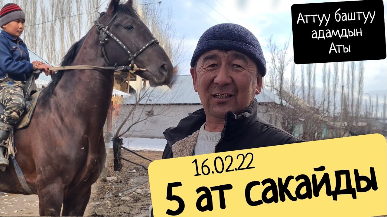 Беш ат САКАЙДЫ 😱КАМАЛ АКАДА КАРА АТ КЕЛДИ сатылды