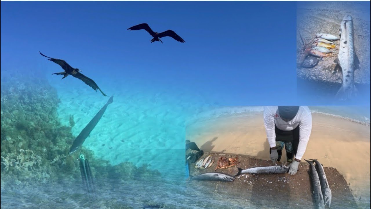 Spearfishing in this cold weather 