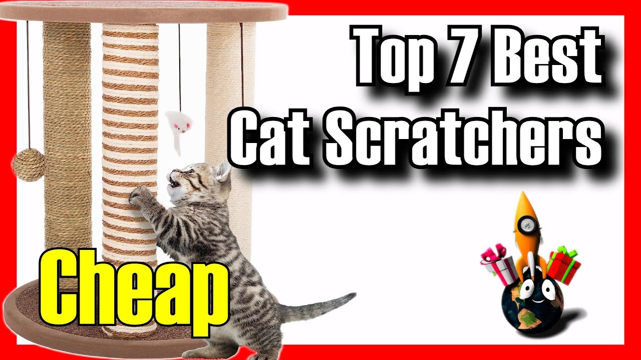 🔥 TOP 7 BEST Budget Cat Scratching Posts on Amazon [2024]✅[Cheap] Scratchers Posts Indoors