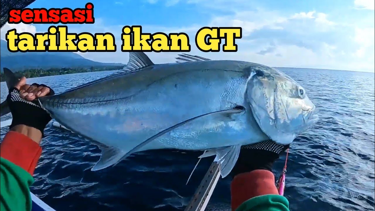 tes reel daido king predator 400L dapat jackpot