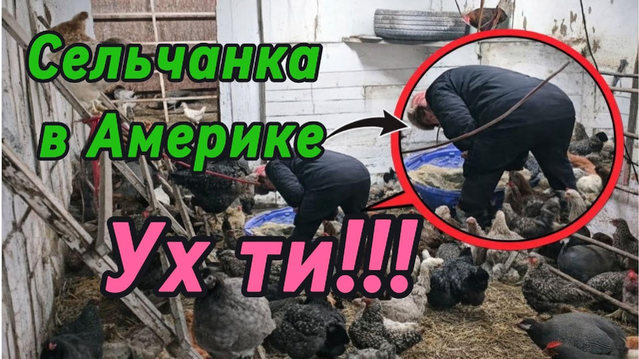 Сельчанка в Америке! Ви в кабалі, підписники сельчан!