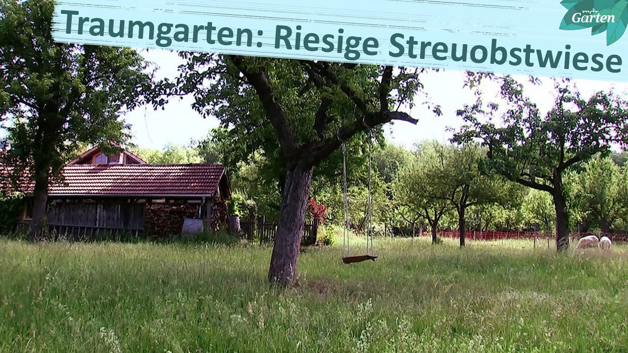 Garten mit Streuobstwiese und dem Flair der Provence | MDR Garten